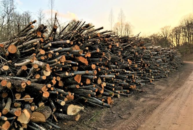 Lapukoku un skujkoku zarus krautuvēs