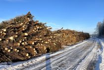 Lapukoku un skujkoku zarus krautuvēs